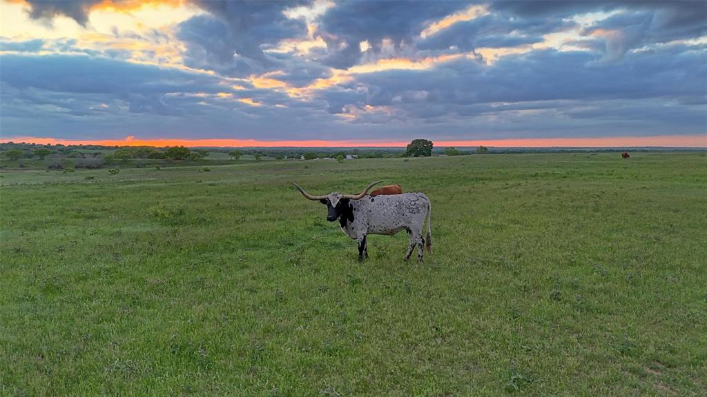 Lindsay Pasture Sub - Farm