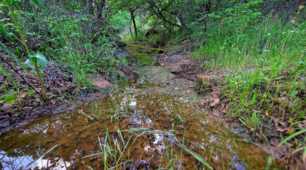 Lindsay Pasture Sub - Farm