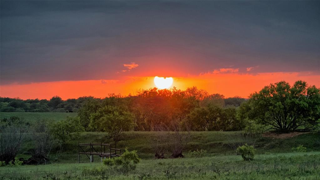 Lindsay Pasture Sub - Farm