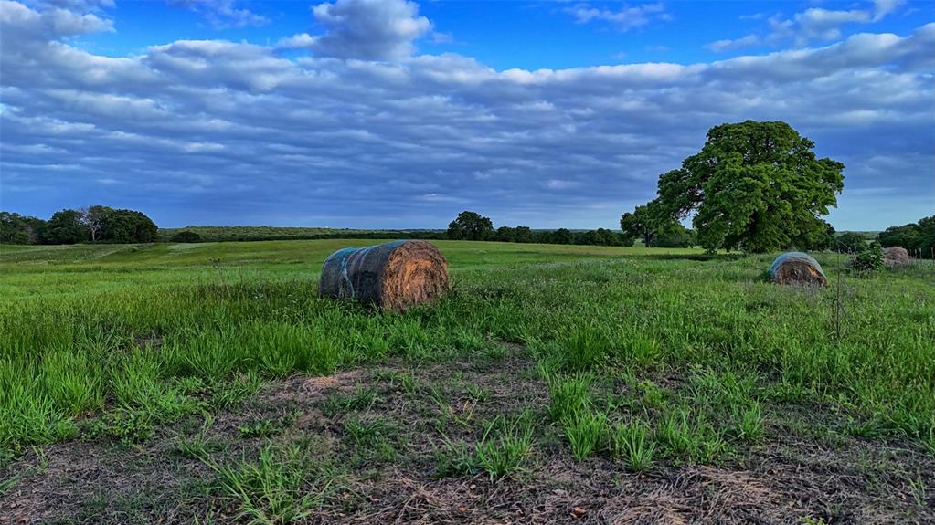 Lindsay Pasture Sub - Farm
