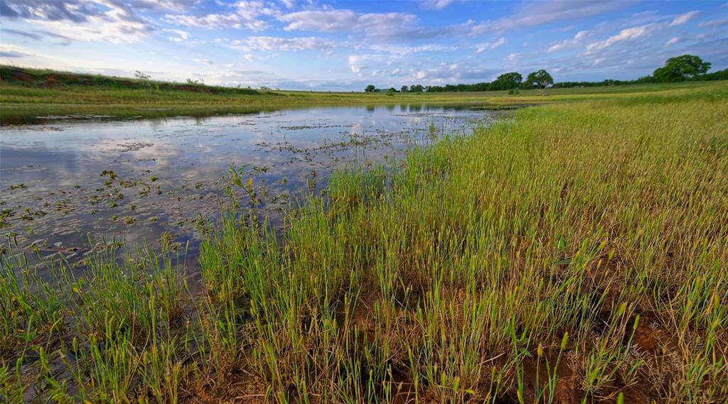 Lindsay Pasture Sub - Farm
