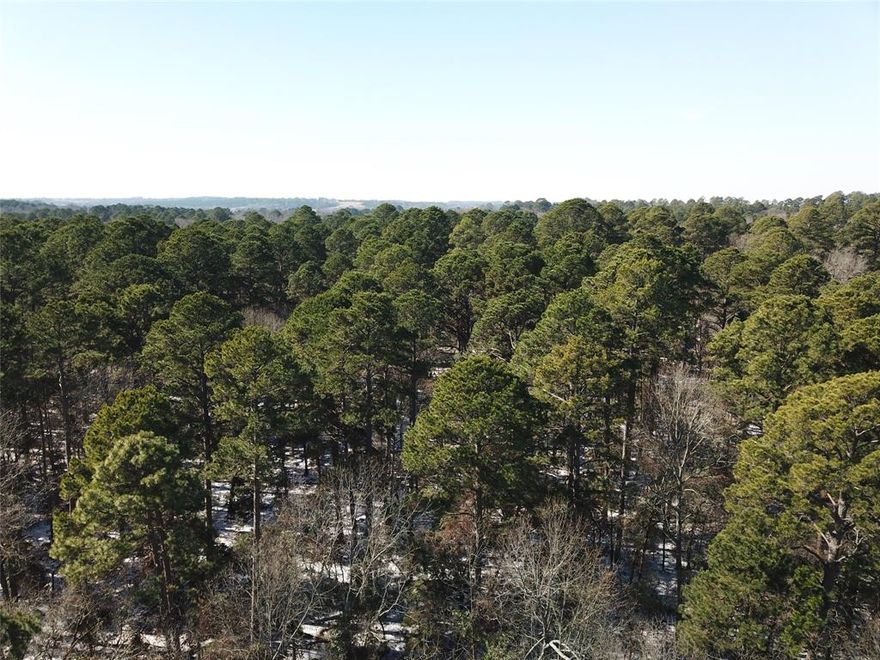 The Winona Tract consists of approximately ±28.35 acres of scenic East Texas countryside, ideally located west of Winona and northeast of Tyler, Texas. The property fronts asphalted County Road 3147 and offers excellent access while maintaining a quiet rural setting surrounded by ranches and homesteads.

The tract features gently rolling topography, with elevations ranging from approximately 390 feet to 450 feet above sea level. The landscape is a pleasing mix open land and forested land, with the property consisting of a strong stand of mature timber dominated by pine, interspersed with hardwoods—providing both aesthetic appeal and natural privacy.

County Road 3147 bisects the property, creating approximately 20 acres on the north side of the roadway and the remaining acreage to the south. The northern portion benefits from substantial road frontage along both the south and west boundaries, enhancing its potential for future subdivision or multiple homesites.

Electric utilities are available along the road frontage, and the property is located within the Sandflat Water Supply Corporation service area. The combination of infrastructure, topography, and frontage makes this tract well suited for residential development, a rural estate, or a recreational retreat.