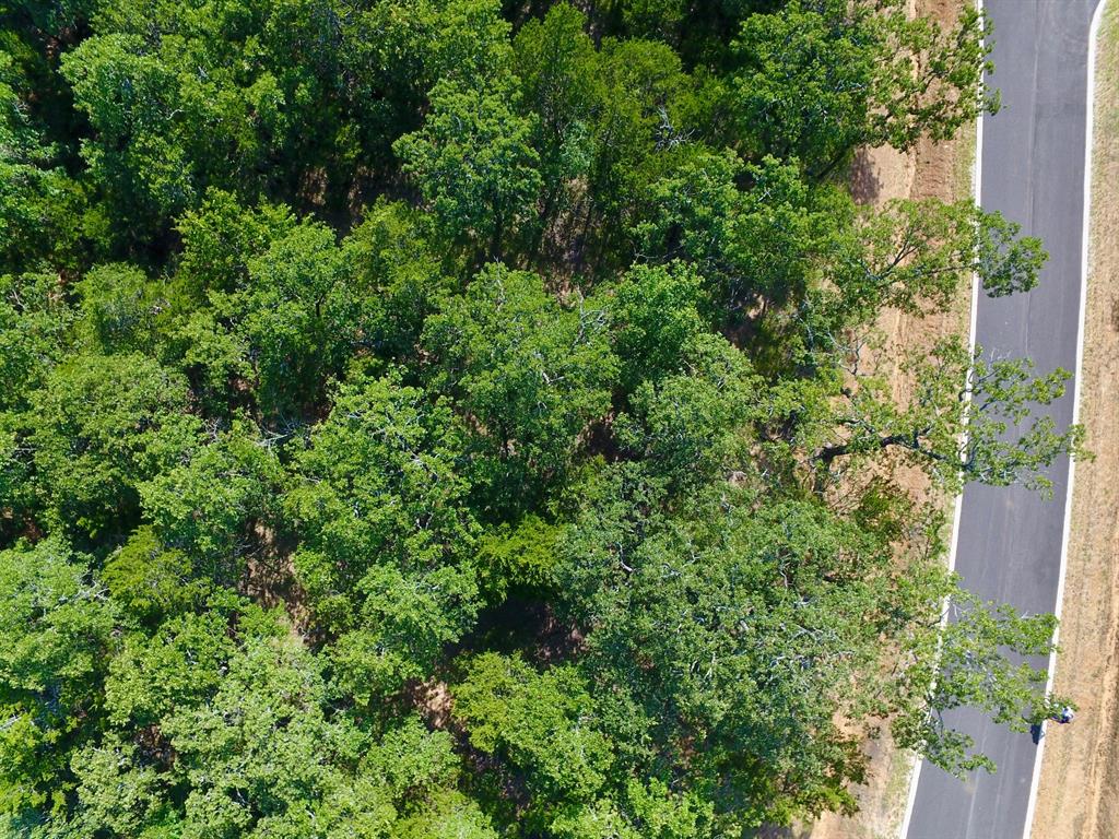 19C Coyote Springs Court