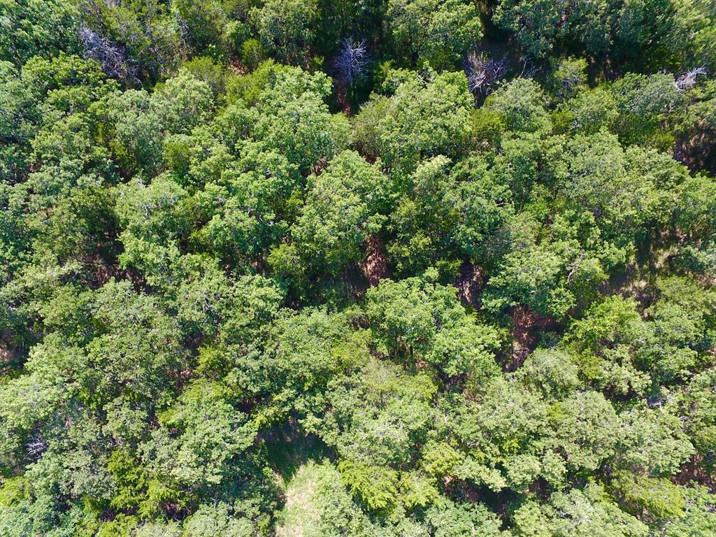 19C Coyote Springs Court