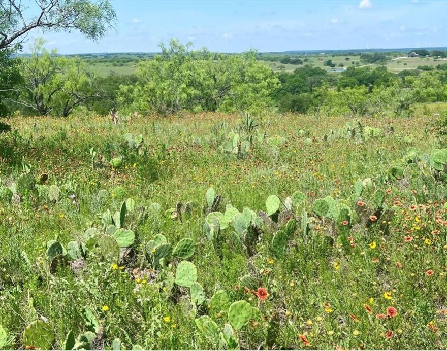 9.11 acres located in gated community at Mercers Preserve. Great build site to put your new custom home sitting on top of a hill with a view