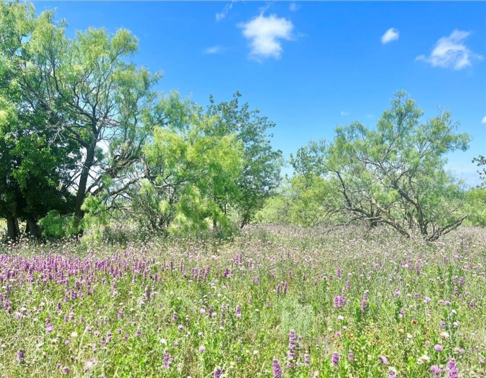 S30500 - Land