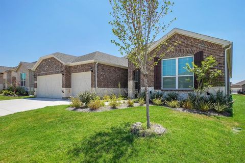 A home in Little Elm