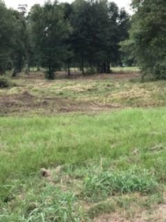 1201 HWY 146 ByPass ByPass