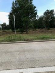 1201 HWY 146 ByPass ByPass