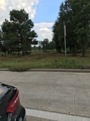 1201 HWY 146 ByPass ByPass