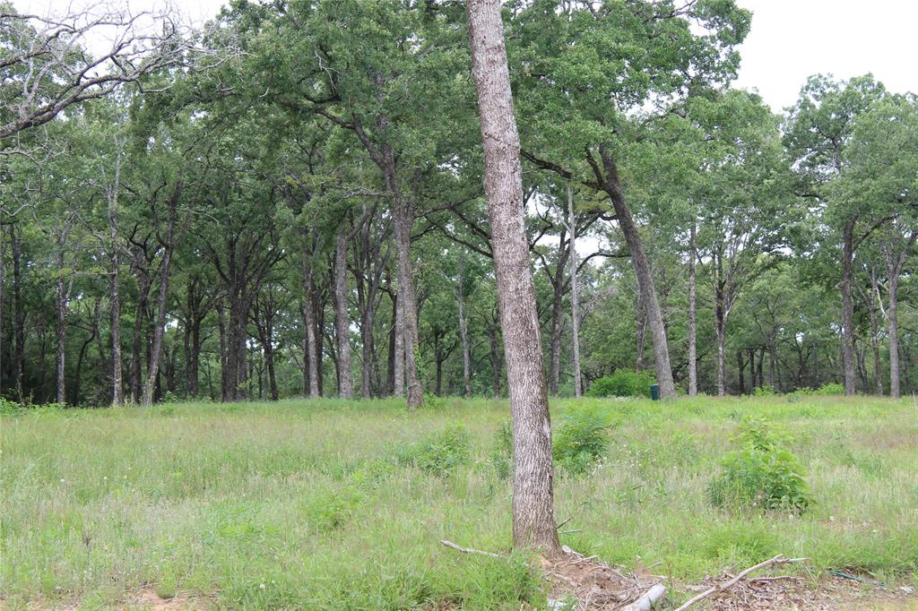 Forest Grove Sub Ph 1 - Residential