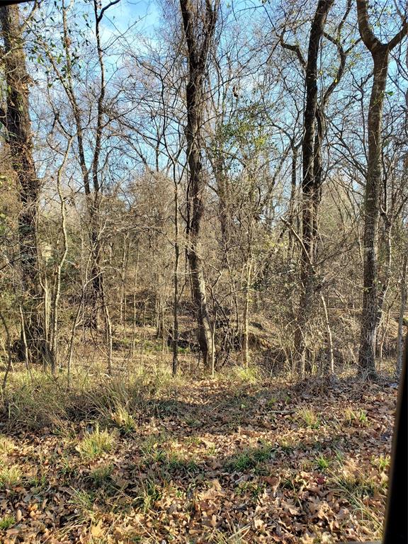 Bushwhacker Peninsula Sub - Land