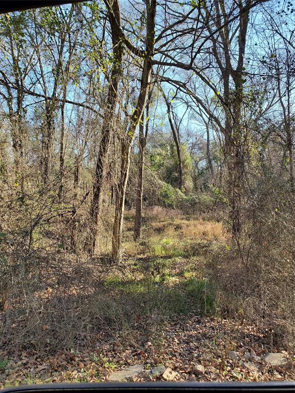 Bushwhacker Peninsula Sub - Land