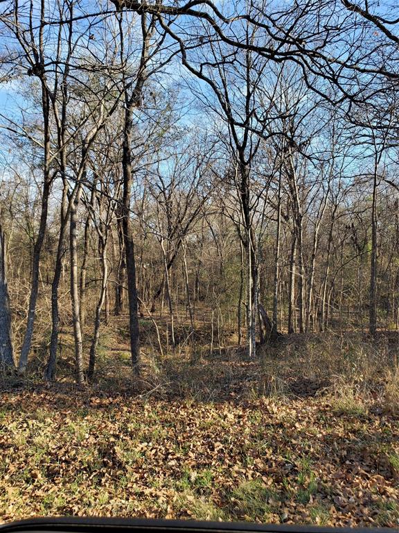 Bushwhacker Peninsula Sub - Land