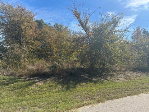Photo of 1627 Luzon Street, Tool, TX 75143 (MLS # 21419105)