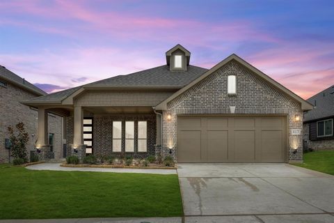 A home in Little Elm