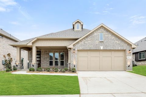 A home in Little Elm