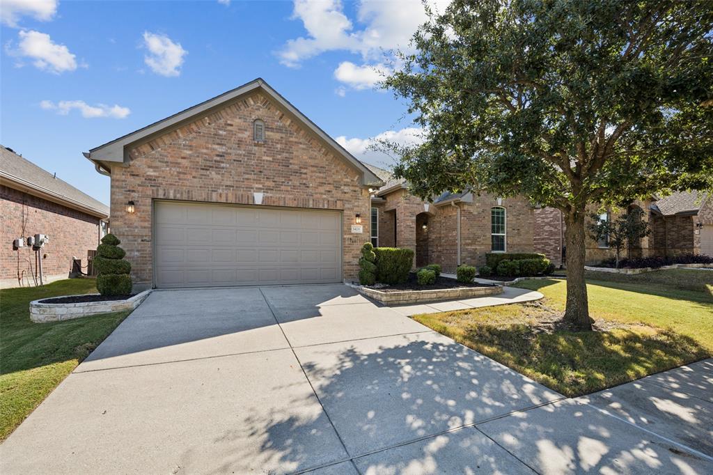 1428 Palestine Drive
