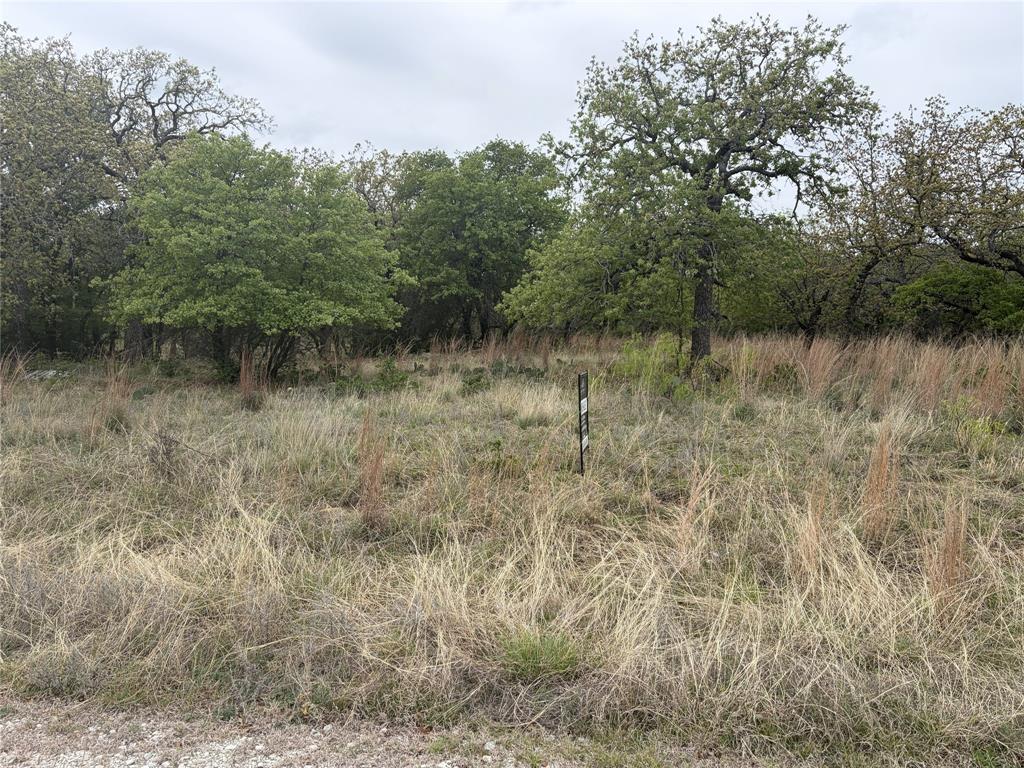 North Star Pointe - Land