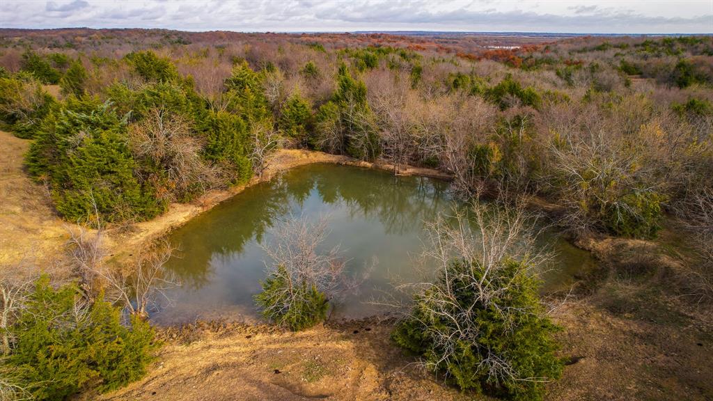 Stuart Samuel - Farm