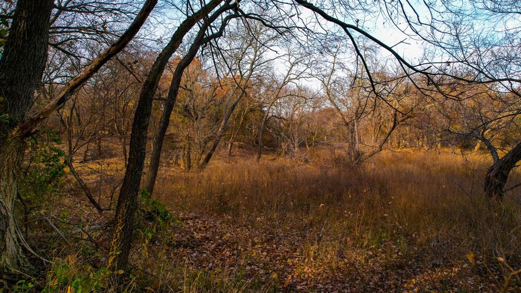 Stuart Samuel - Farm