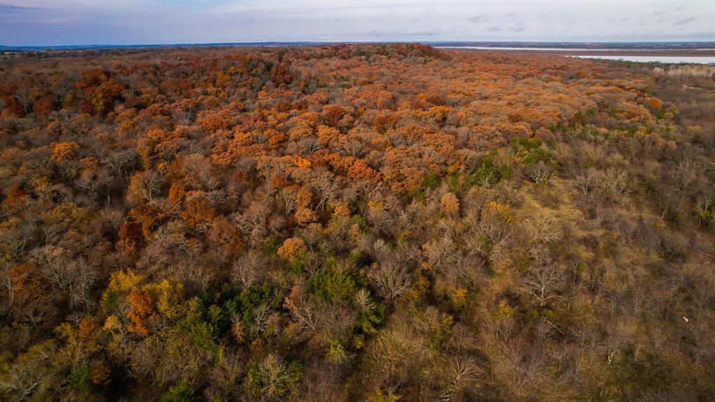Stuart Samuel - Farm