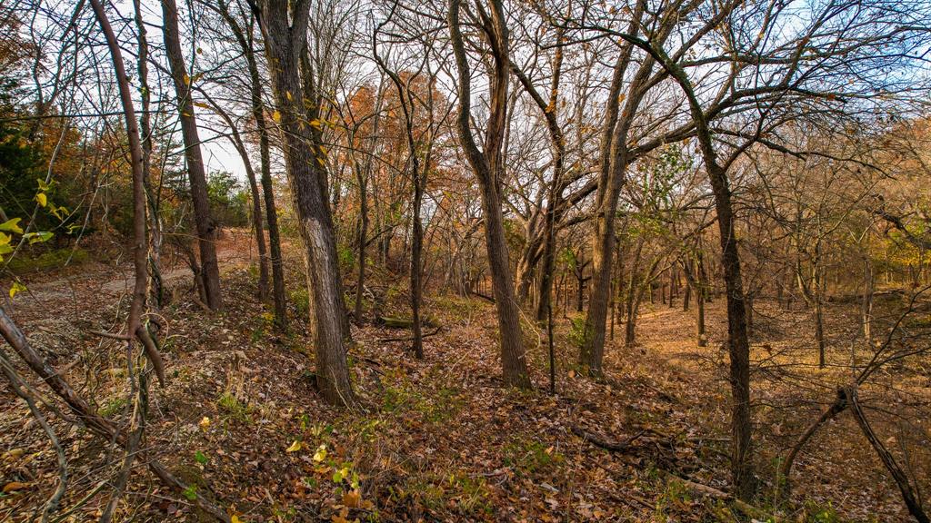 Stuart Samuel - Farm