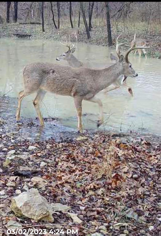 Stuart Samuel - Farm