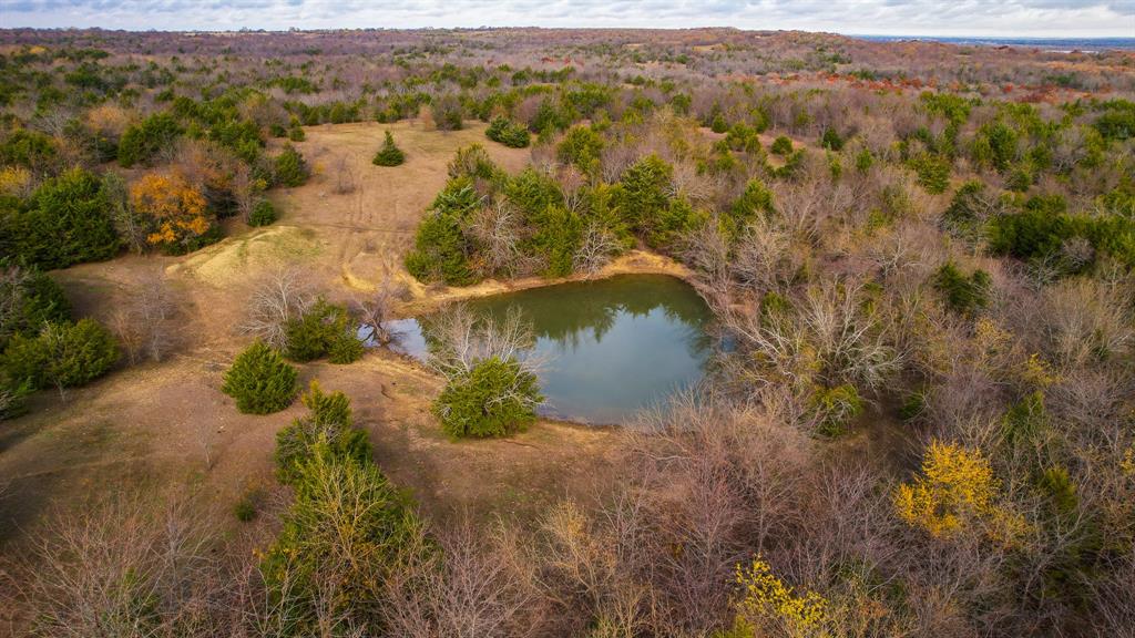 Stuart Samuel - Farm