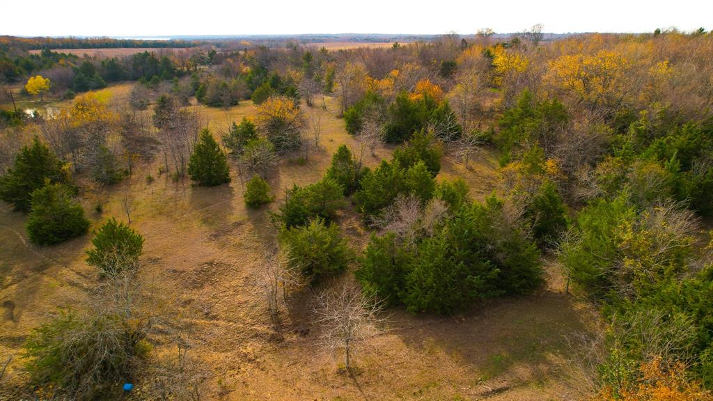 Stuart Samuel - Farm