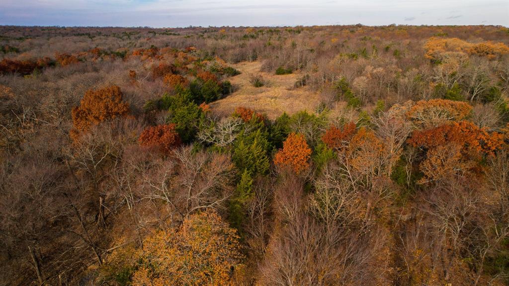 Stuart Samuel - Farm