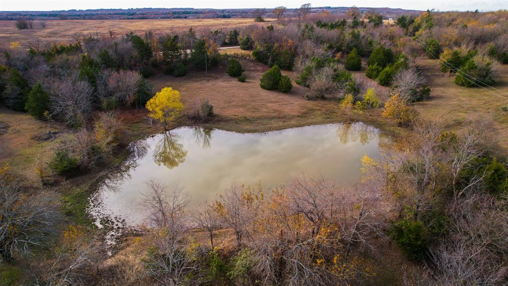 Stuart Samuel - Farm