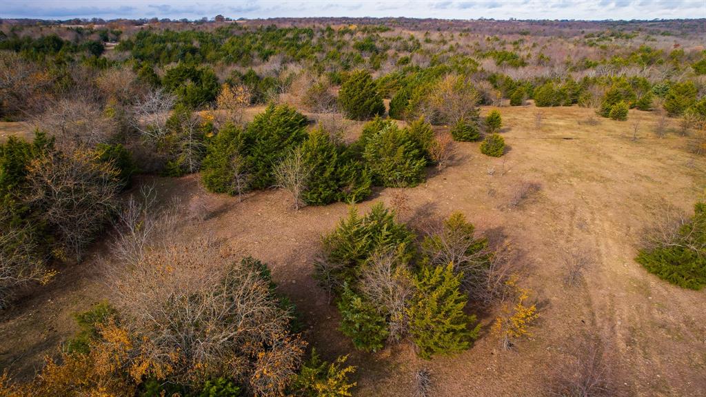 Stuart Samuel - Farm