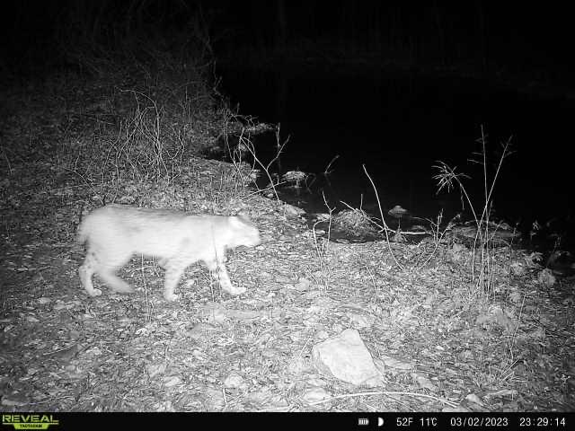 Stuart Samuel - Farm