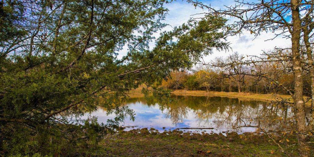 Stuart Samuel - Farm