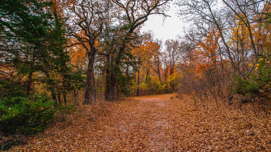Stuart Samuel - Farm