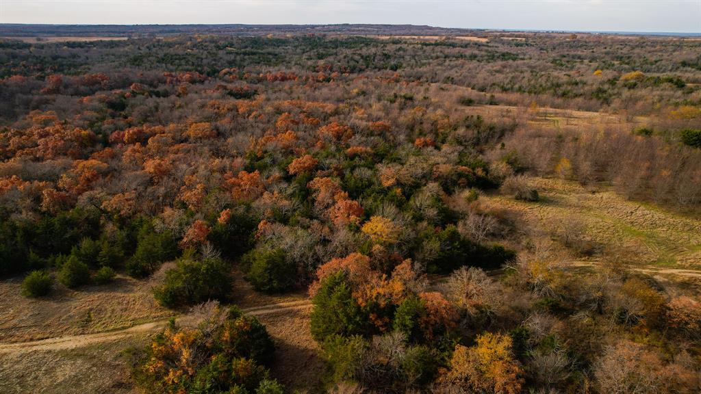 Stuart Samuel - Farm