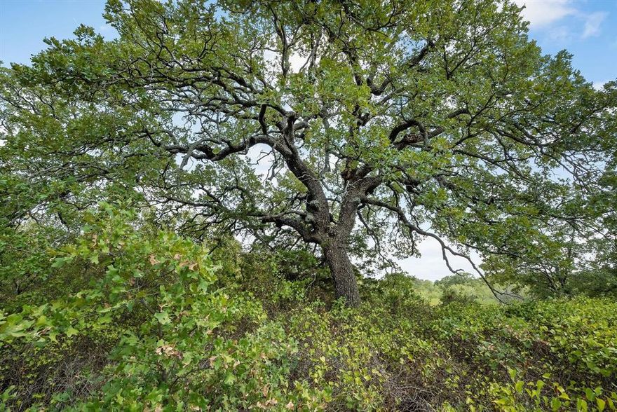 Welcome to Double B Ranch Estates, a haven where the beauty of nature and the tranquility of country living seamlessly blend together. This picturesque 10 acre lot provides ample space to build your dream home. As you drive along the newly paved roads, you'll be greeted by the harmonious blend of rural charm and modern convenience that defines this community. Stay connected to the outside world with high-speed internet from Nextlink, ensuring that you can enjoy the peacefulness of country life without sacrificing connectivity. One of the unique features of Double B Ranch Estates is the absence of a homeowners association (HOA), giving you the freedom to select your own builder and design a home that truly reflects your style. Whether you envision a cozy cottage or a sprawling estate, the possibilities are endless. With captivating landscapes and breathtaking beauty, this is the perfect place to create a tranquil lifestyle that you've always dreamed of. 8 tracts still available throughout subdivision.