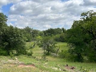 John Deason Surv Abs # 1033 - Farm