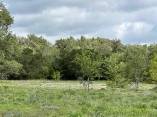 John Deason Surv Abs # 1033 - Farm