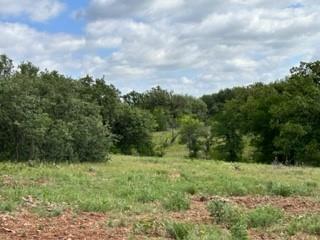 John Deason Surv Abs # 1033 - Farm