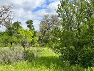 John Deason Surv Abs # 1033 - Farm