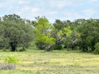 John Deason Surv Abs # 1033 - Farm