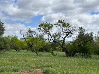 John Deason Surv Abs # 1033 - Farm