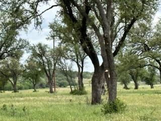 John Deason Surv Abs # 1033 - Farm