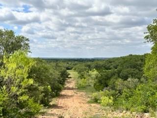 John Deason Surv Abs # 1033 - Farm