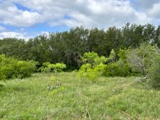 John Deason Surv Abs # 1033 - Farm