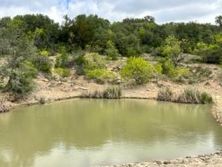 John Deason Surv Abs # 1033 - Farm