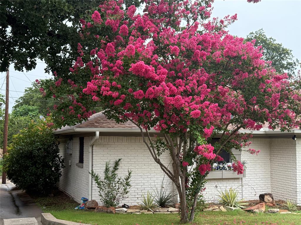 104 Cluster Drive