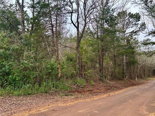 4451 COUNTY ROAD 3206 W, MOUNT ENTERPRISE, TX 75681 - Image 3c8dde135a21ce5977a0f042d03e4a53/1484397180